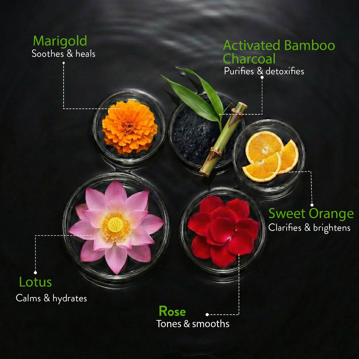 Ayouthveda Charcoal Face Wash with Activated Bamboo Charcoal & Floral Distillates | Suitable for All Skin Types - 100ml